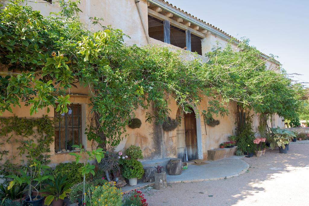Finca Son Josep De Baix Κάλας Ντε Μαγιόρκα Εξωτερικό φωτογραφία