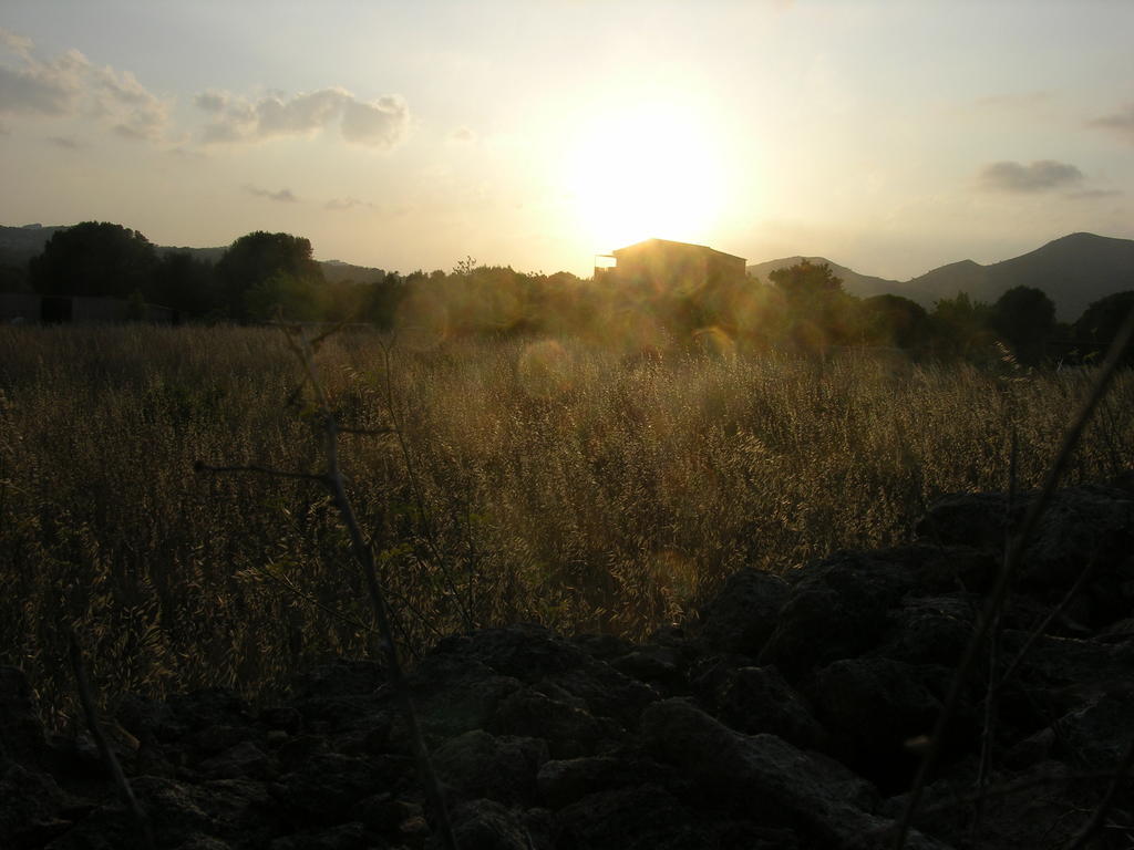 Finca Son Josep De Baix Κάλας Ντε Μαγιόρκα Εξωτερικό φωτογραφία